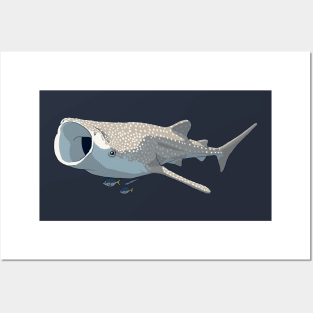 Whale Shark and Friends Posters and Art